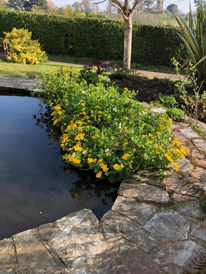 Hartree Bed & Breakfast Newton Abbot